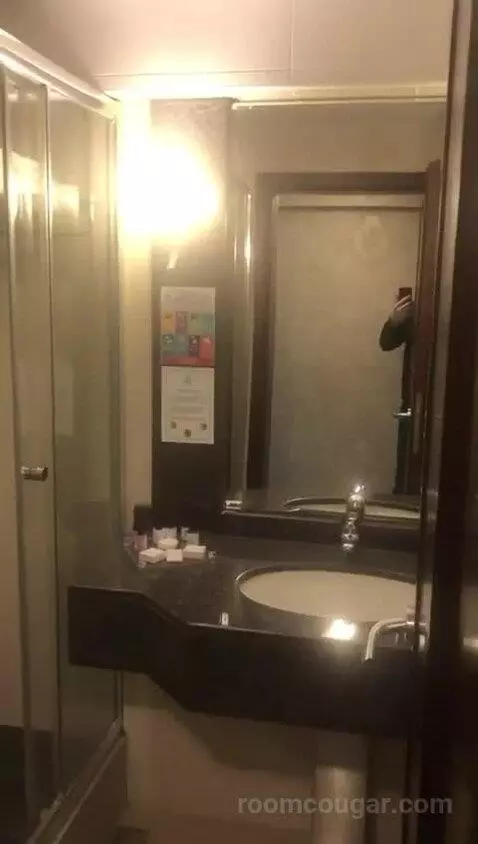 Deluxe Double Room bathroom picture #8