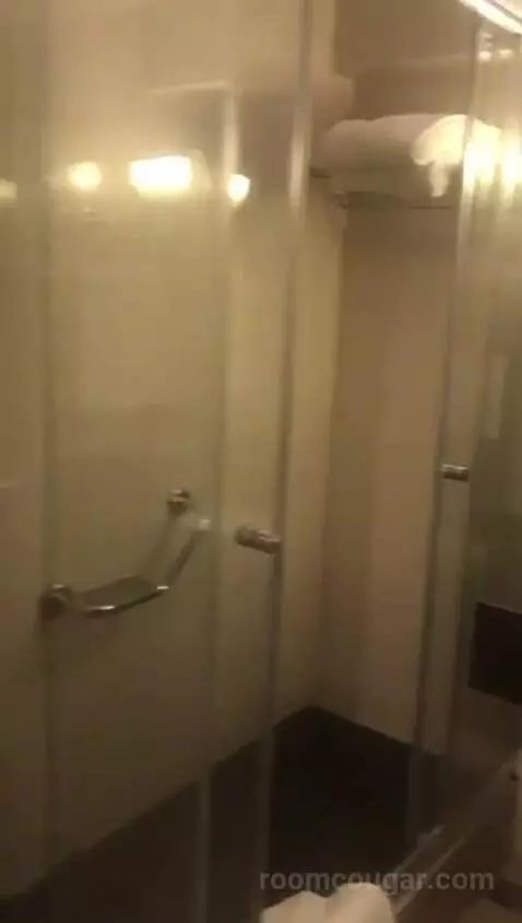 Deluxe Double Room bathroom picture #10