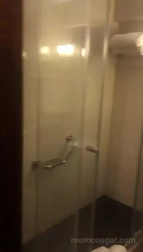 Deluxe Double Room bathroom picture #11