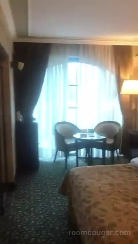 Deluxe Double Room picture #9