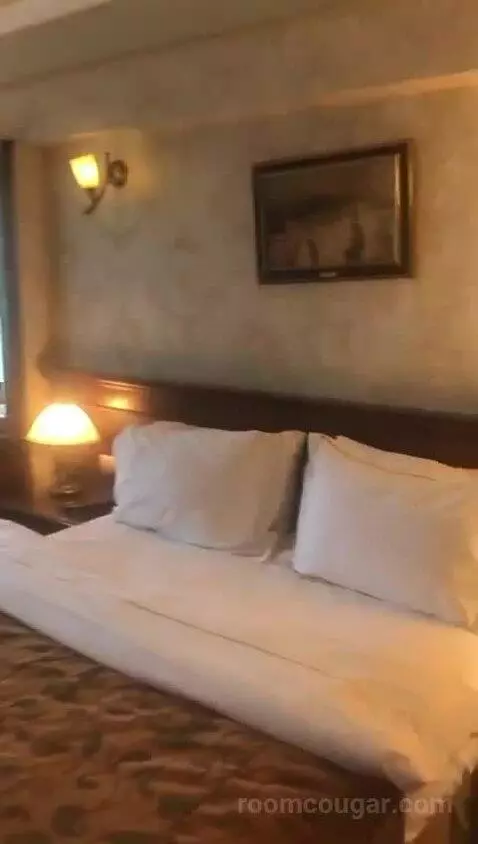 Deluxe Double Room bed picture #5