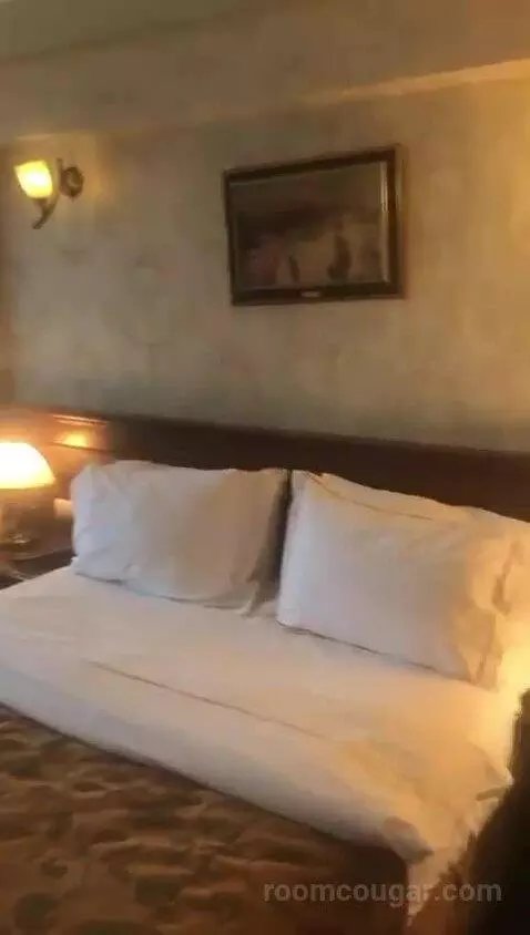 Deluxe Double Room picture #10