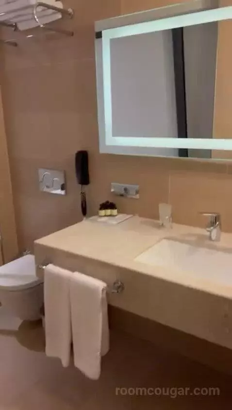 Suite bathroom picture #2