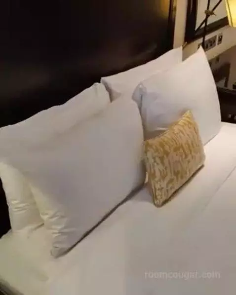 Superior Room, Guest Room, 1 King bed picture #11