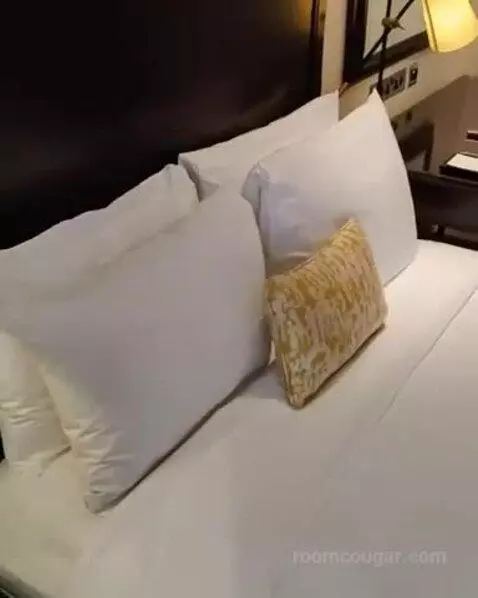 Superior Room, Guest Room, 1 King bed picture #12