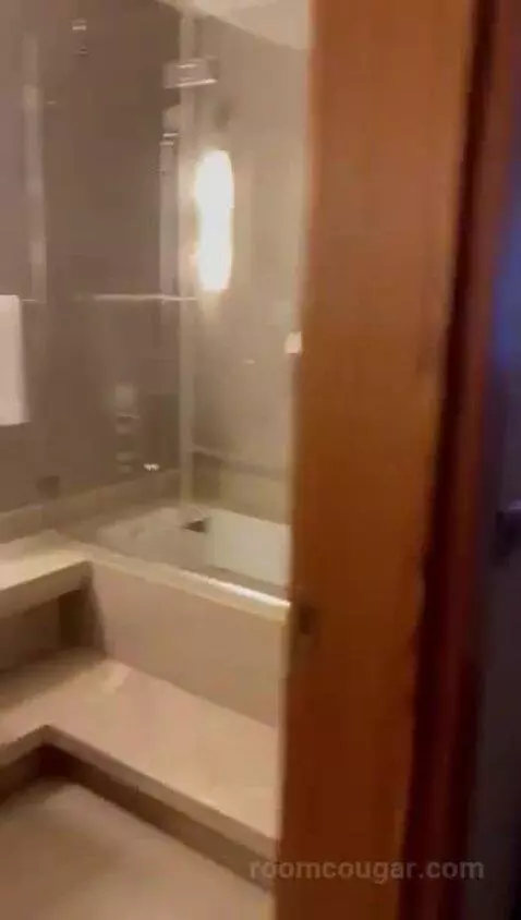Double Room bathroom picture #4