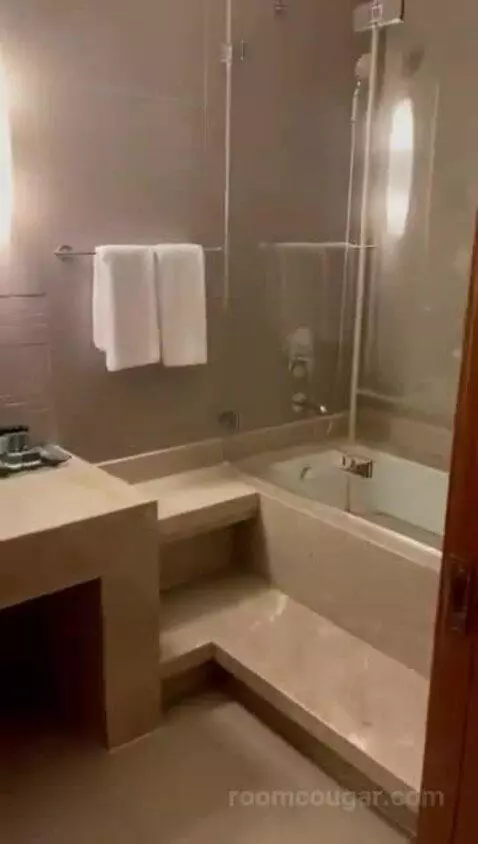 Double Room bathroom picture #8