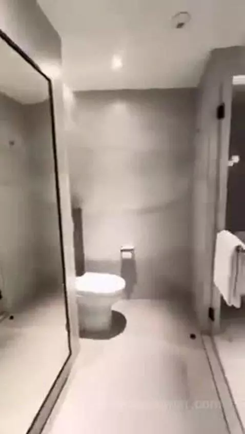 Deluxe King Room bathroom picture #2
