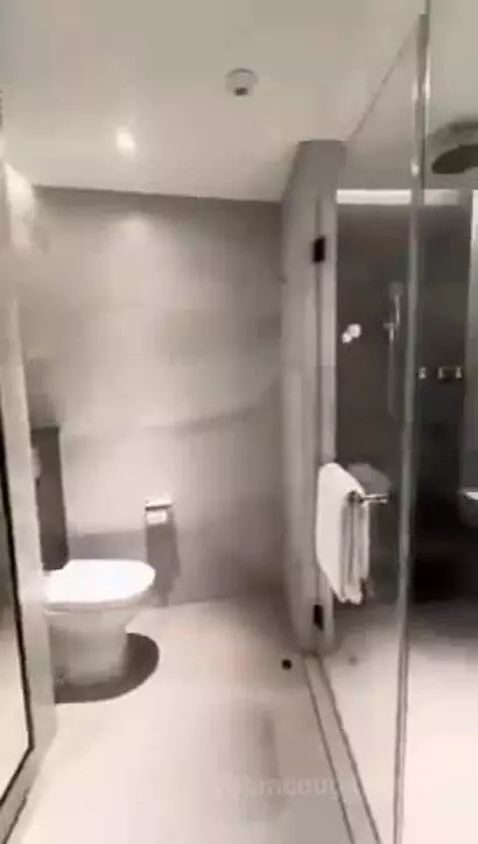 Deluxe King Room bathroom picture #4