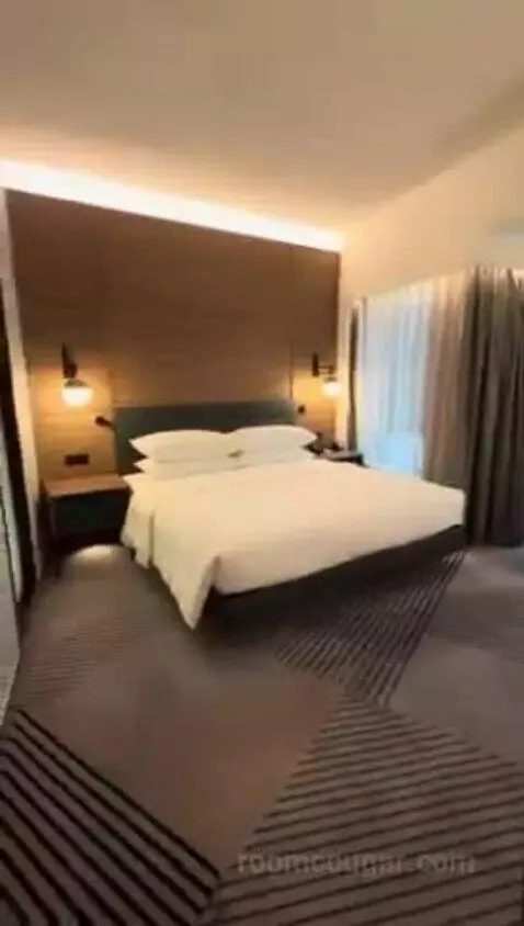 Deluxe King Room bed picture #4