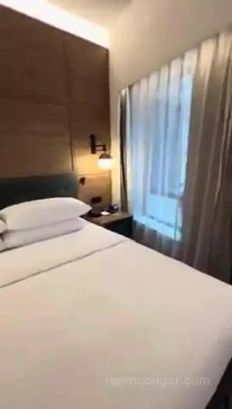 Deluxe King Room bed picture #9