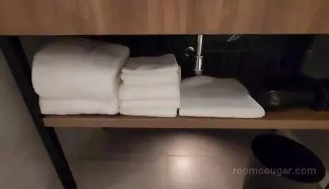 Deluxe Double Room with Two Double Beds and Twin Towers View bathroom picture #6