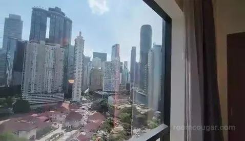 Deluxe Double Room with Two Double Beds and Twin Towers View picture #19