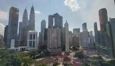 Deluxe Double Room with Two Double Beds and Twin Towers View view picture #6