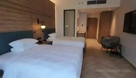 Deluxe Double Room with Two Double Beds and Twin Towers View picture #23