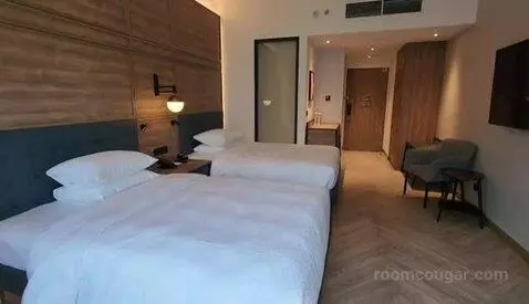 Deluxe Double Room with Two Double Beds and Twin Towers View picture #24