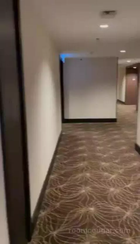 Deluxe Twin Room picture #1