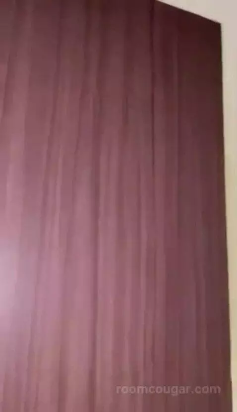 Deluxe Twin Room picture #2