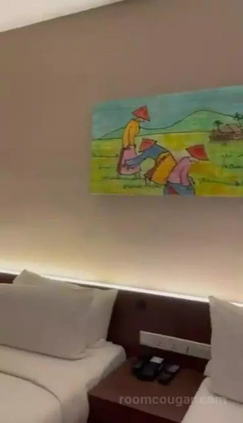 Deluxe Twin Room picture #16