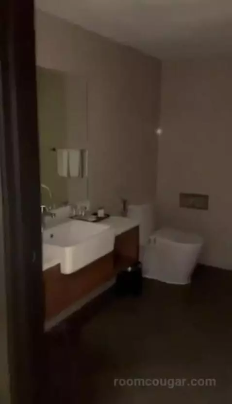 Deluxe Twin Room bathroom picture #1