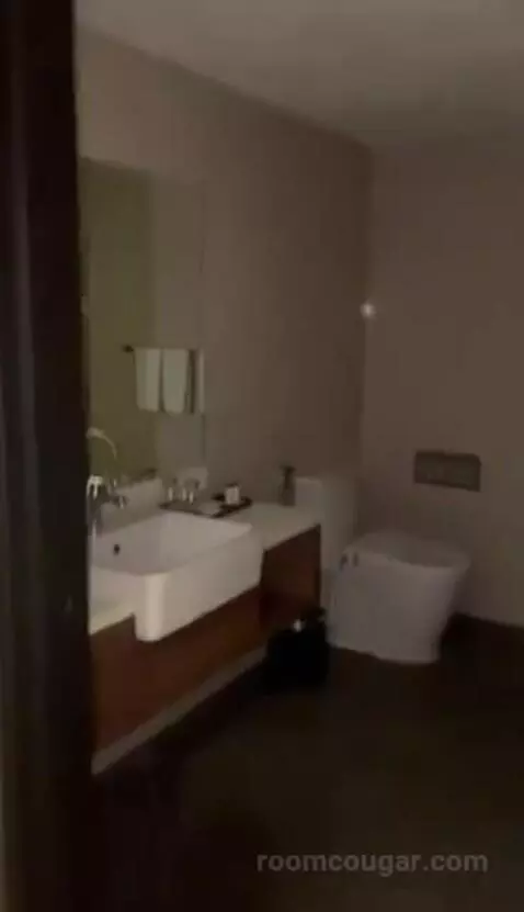 Deluxe Twin Room bathroom picture #2