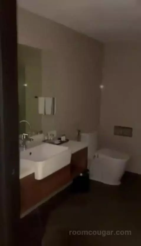 Deluxe Twin Room bathroom picture #3