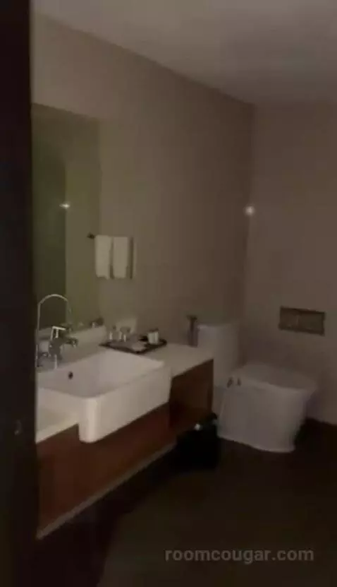 Deluxe Twin Room bathroom picture #4