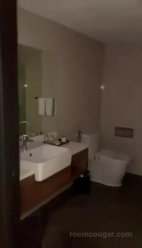 Deluxe Twin Room picture #4