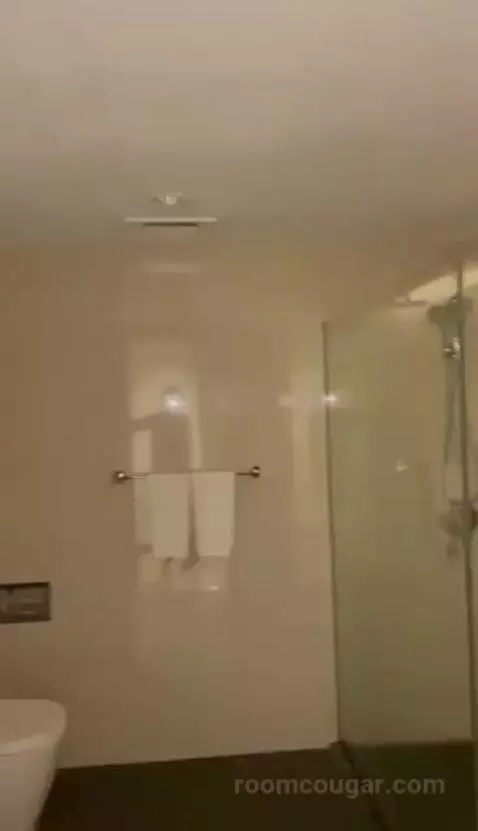 Deluxe Twin Room bathroom picture #5