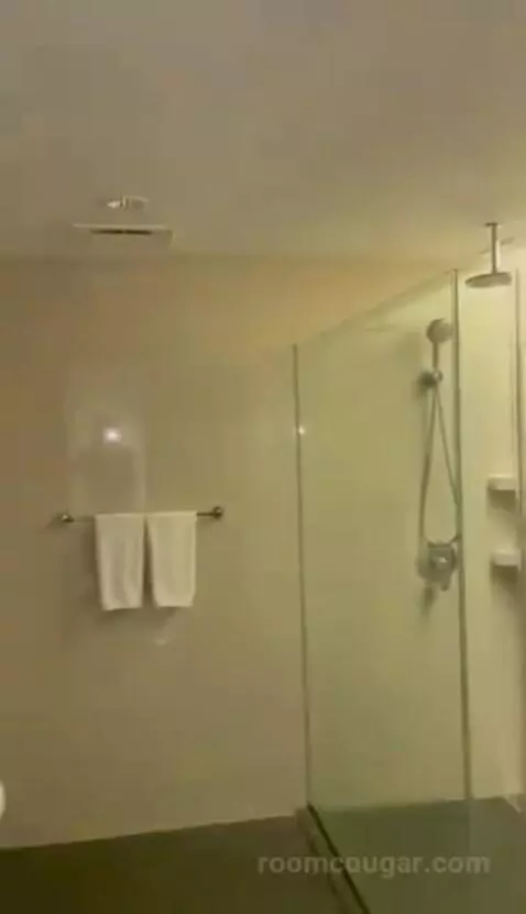 Deluxe Twin Room bathroom picture #7