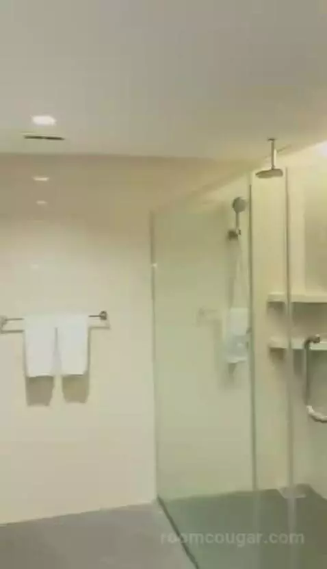 Deluxe Twin Room bathroom picture #8