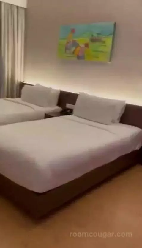 Deluxe Twin Room bed picture #6