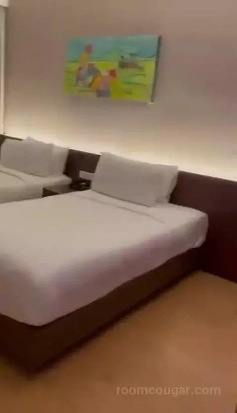 Deluxe Twin Room bed picture #7
