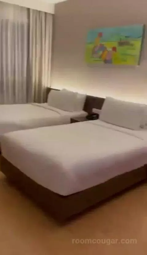 Deluxe Twin Room picture #9
