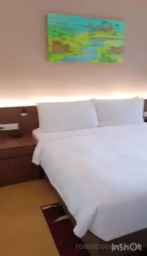 One-Bedroom Deluxe Apartment bed picture #6