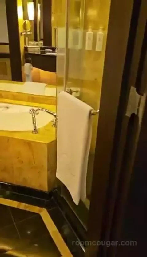 Deluxe Twin Room with City View bathroom picture #2