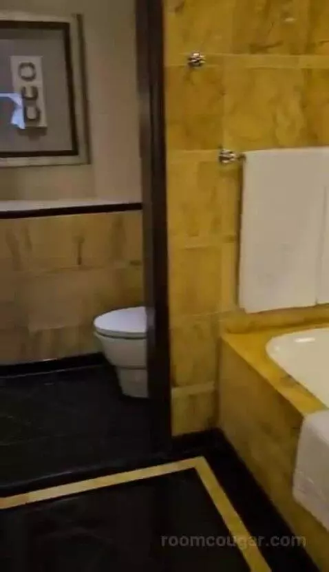 Deluxe Twin Room with City View bathroom picture #6