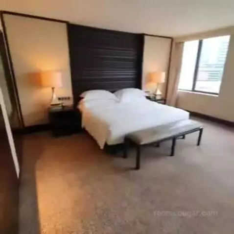 Deluxe King Room with Park View bed picture #1
