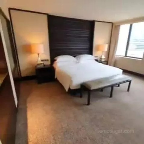 Deluxe King Room with Park View bed picture #2