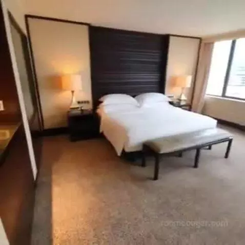 Deluxe King Room with Park View bed picture #3