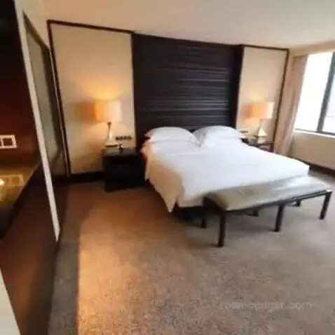 Deluxe King Room with Park View bed picture #4