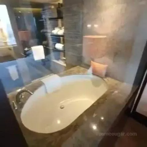 Deluxe King Room with Park View bathroom picture #9