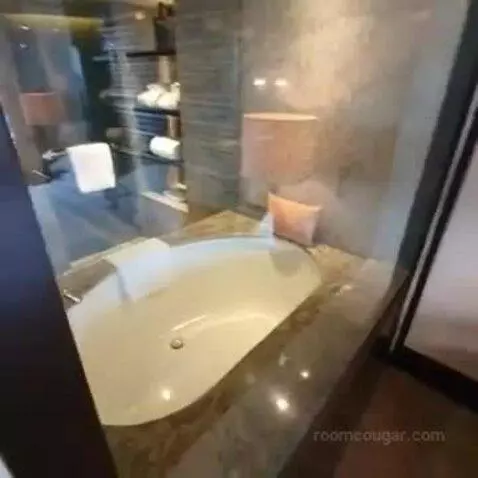 Deluxe King Room with Park View bathroom picture #10