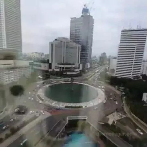 Deluxe King Room with Park View view picture #7