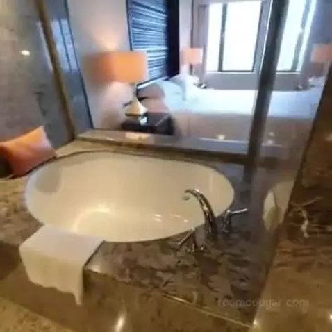 Deluxe King Room with Park View bathroom picture #3