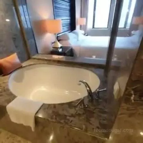 Deluxe King Room with Park View bathroom picture #4