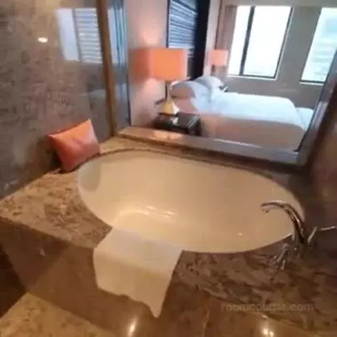 Deluxe King Room with Park View bathroom picture #6
