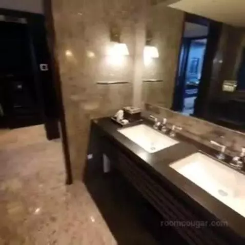 Deluxe King Room with Park View bathroom picture #8