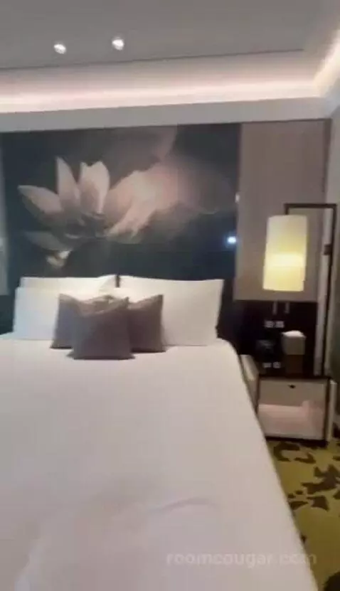 Deluxe Room with 1 King Bed bed picture #4