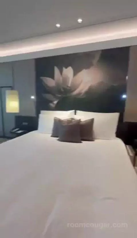 Deluxe Room with 1 King Bed bed picture #6
